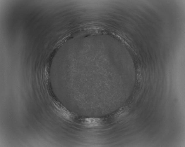 X0000082200371200702100007