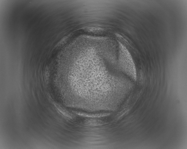 X0000082200372200702100007