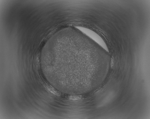 X0000082200373200702100007