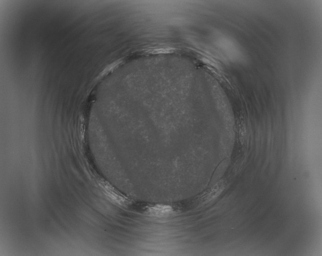 X0000082200374200702100007