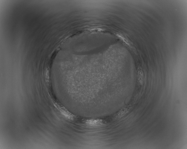 X0000082200375200702100007