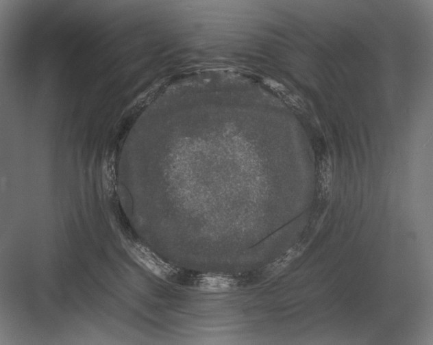 X0000082200376200702100007