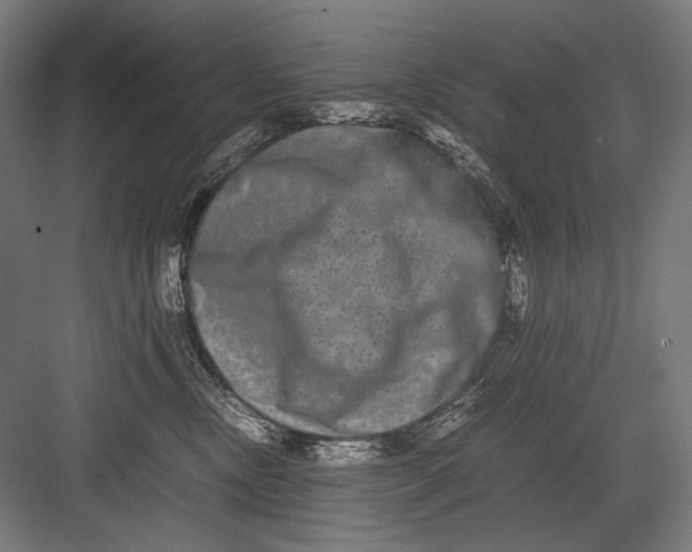 X0000082200378200702100007