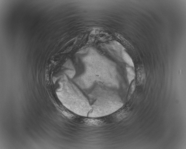 X0000082200379200702100007