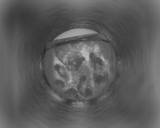 X0000082200381200702100007