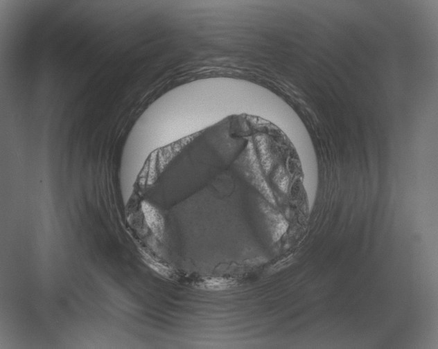 X0000082200382200702100007