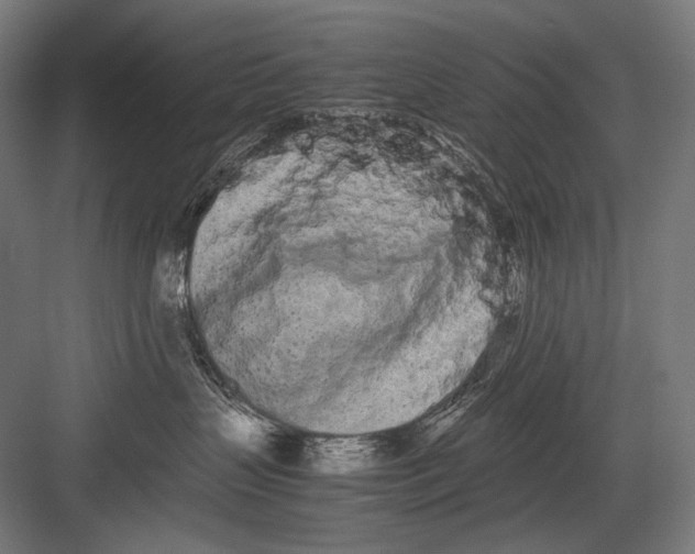 X0000082200383200702100007