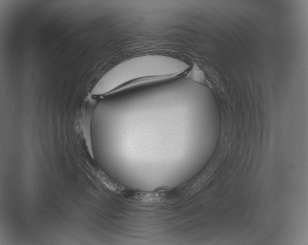 X0000082200384200702100007