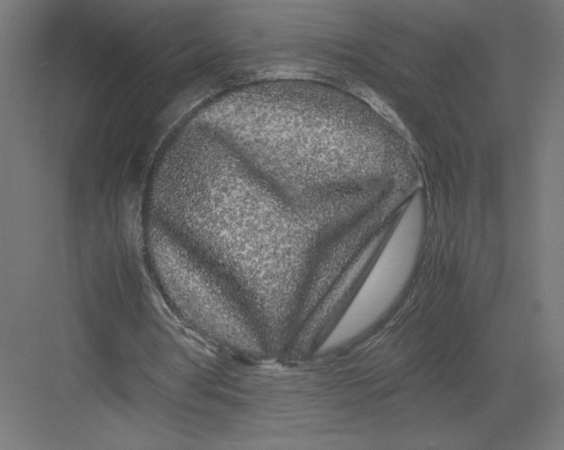 X0000082200386200702100007