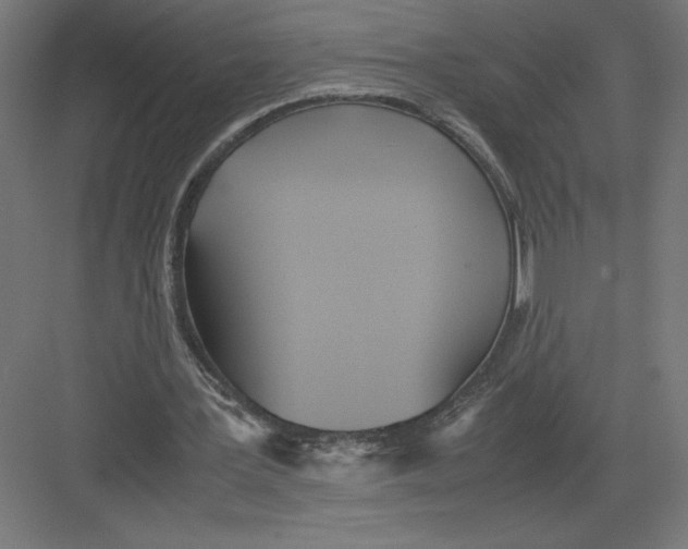 X0000082200387200702100007