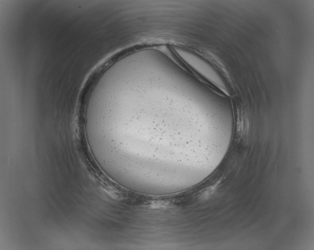 X0000082200388200702100007