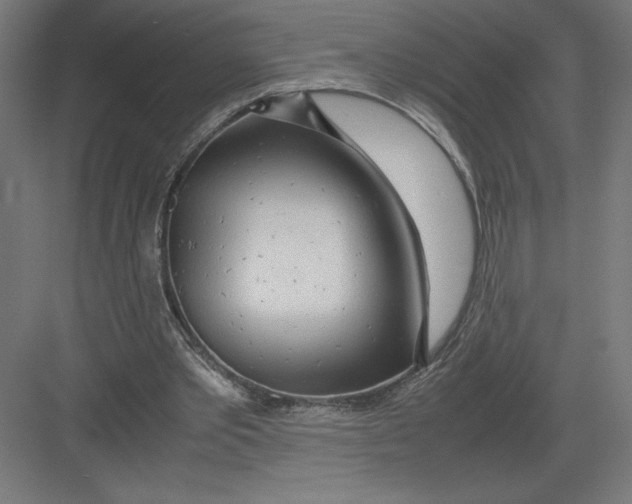 X0000082200389200702100007