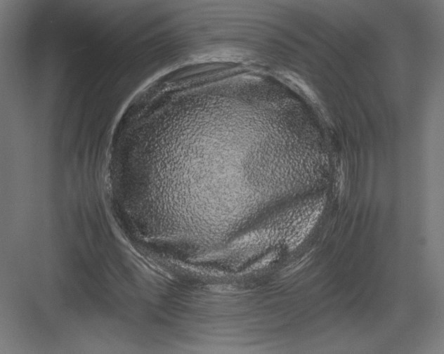 X0000082200392200702100006