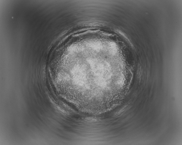 X0000082200394200702100006