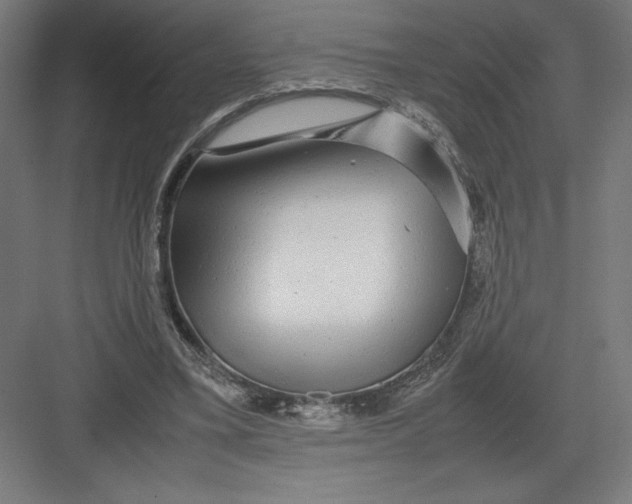 X0000082200395200702100006