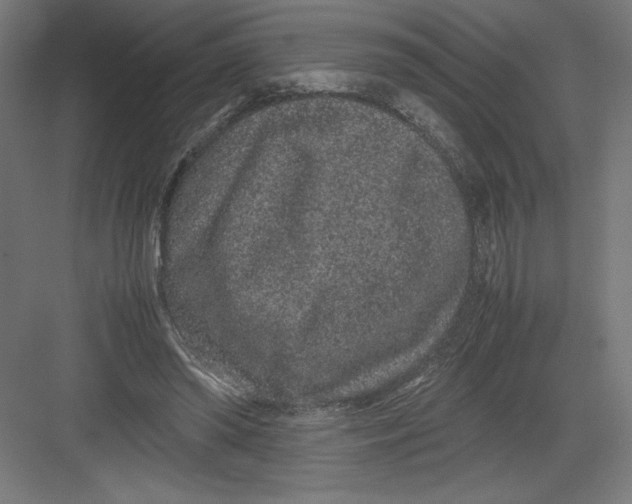 X0000082200398200702100006