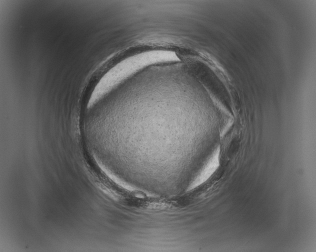 X0000082200399200702100006