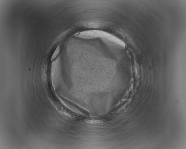 X0000082200400200702100006