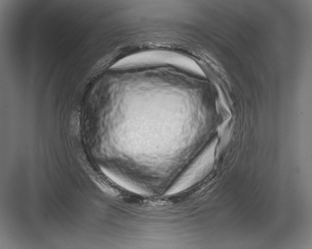 X0000082200401200702100006