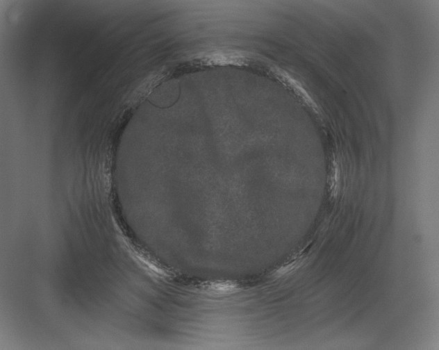 X0000082200402200702100006