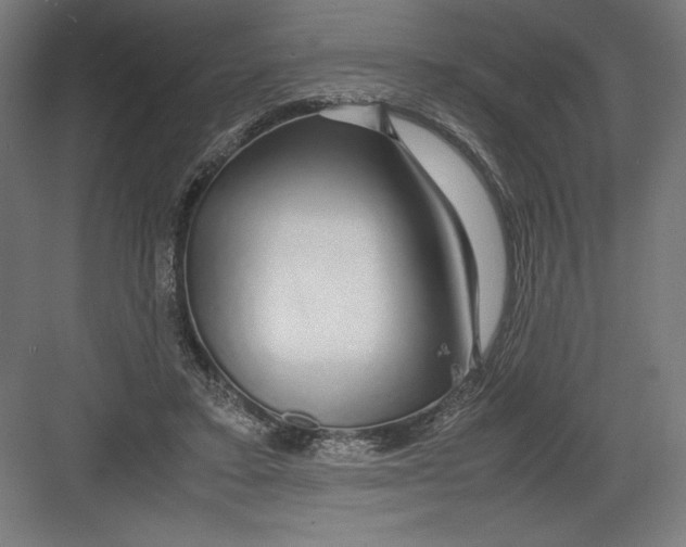 X0000082200403200702100006