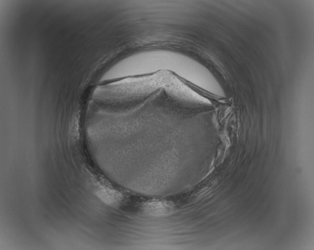 X0000082200404200702100006