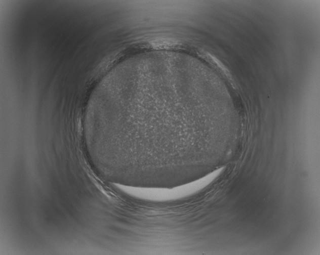 X0000082200405200702100006