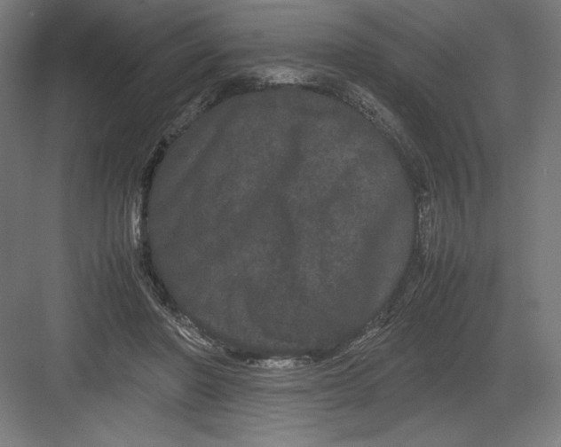 X0000082200406200702100006