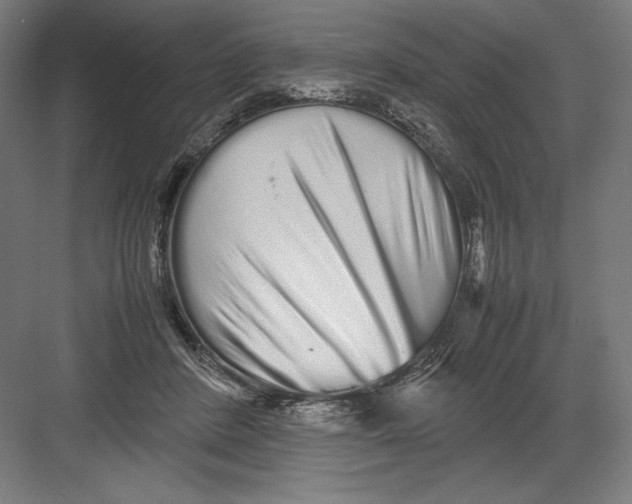 X0000082200408200702100006