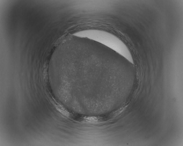 X0000082200409200702100006