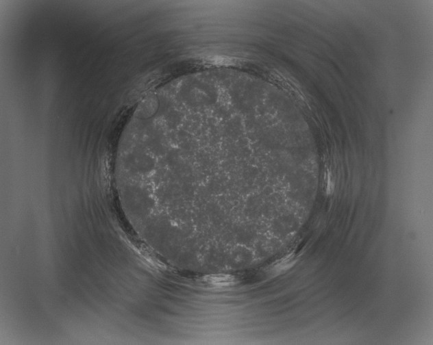 X0000082200410200702100006