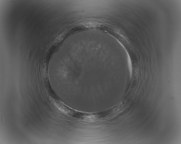 X0000082200411200702100006