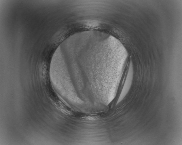 X0000082200412200702100006