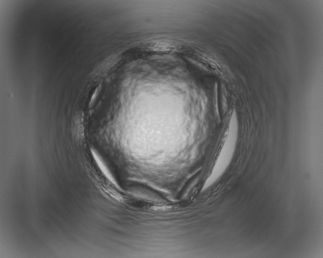 X0000082200413200702100006