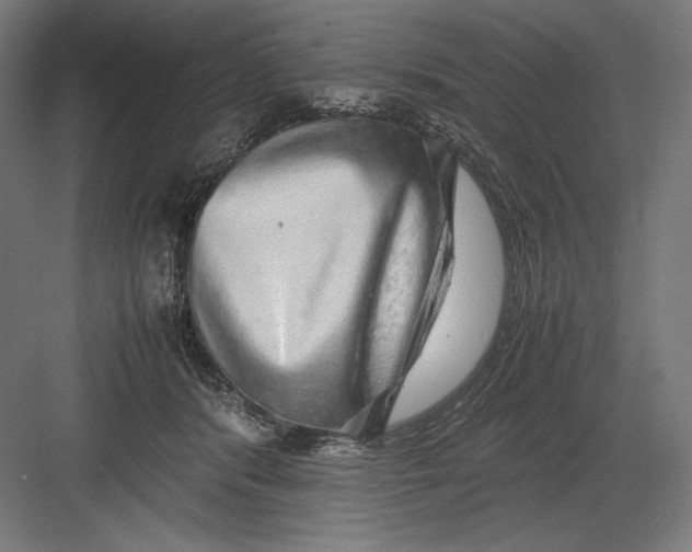 X0000082200416200702100006