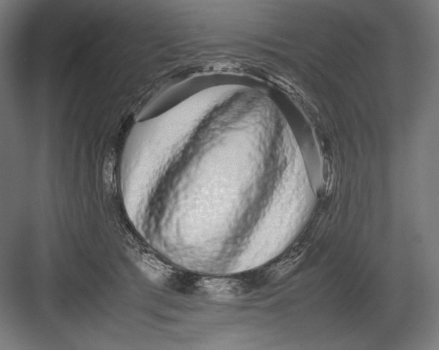 X0000082200417200702100006