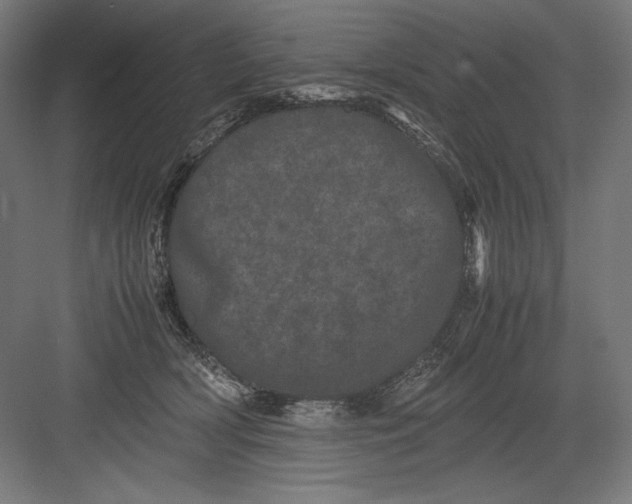 X0000082200418200702100006