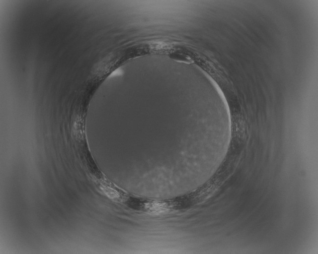 X0000082200419200702100006