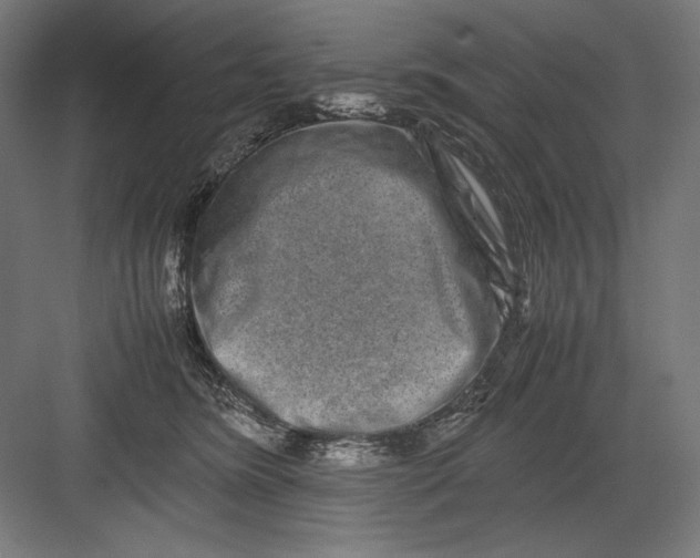 X0000082200420200702100006