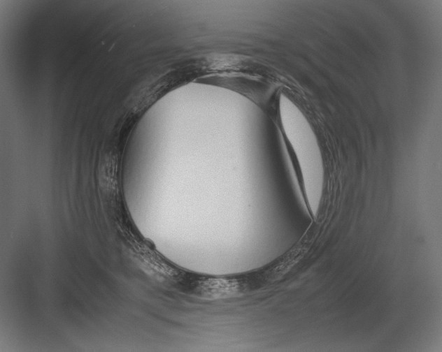 X0000082200421200702100006