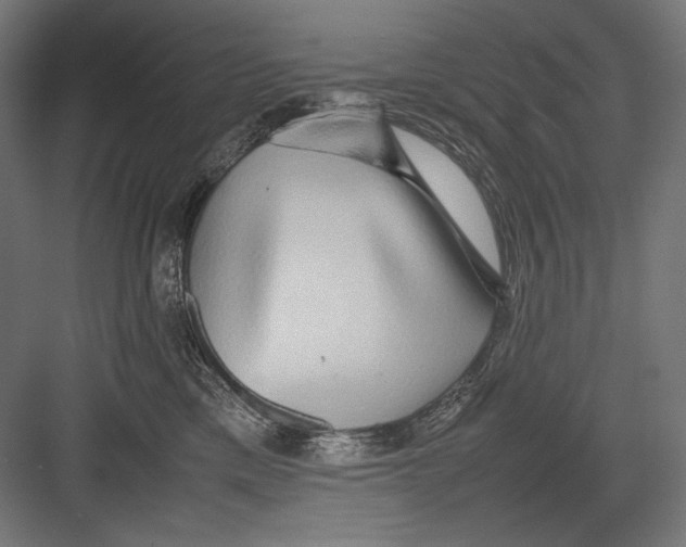 X0000082200425200702100006