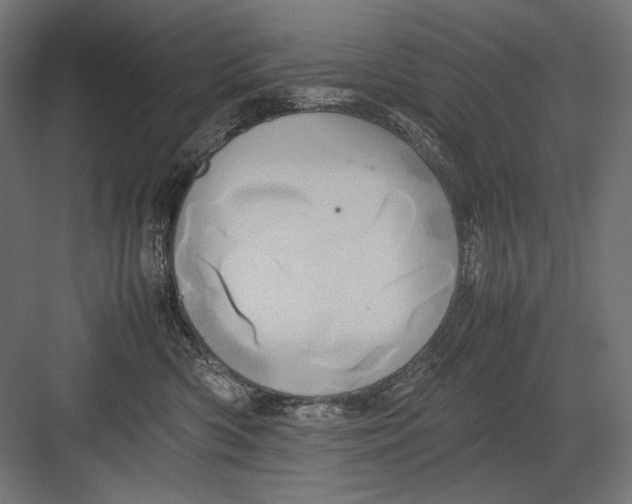 X0000082200426200702100006