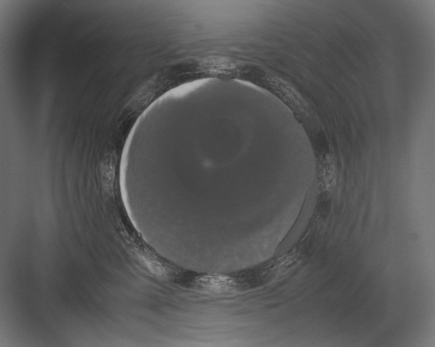 X0000082200427200702100006