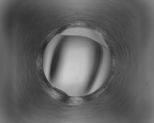 X0000082200429200702100006