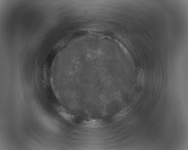 X0000082200430200702100006