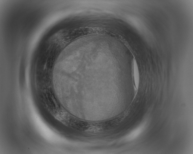 X0000082200431200702100006