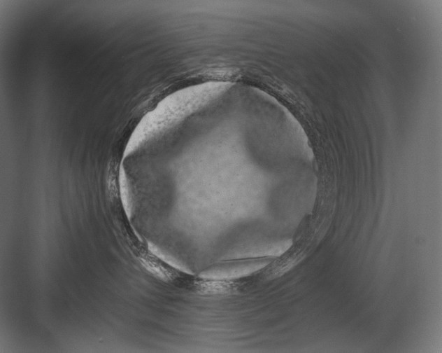 X0000082200432200702100006