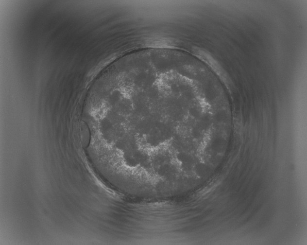 X0000082200433200702100005