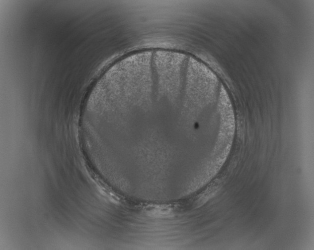 X0000082200434200702100005