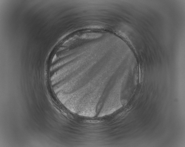 X0000082200435200702100005